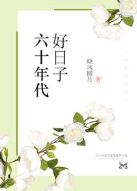 七妺导航