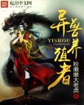 vivo主题永久破解