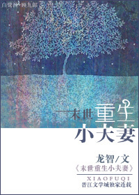 少年猎艳贵妇小说