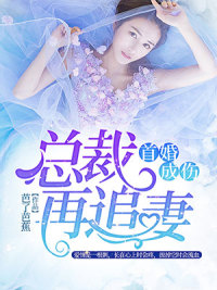 女神娇妻被无赖征服的小说