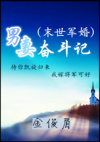 风流村长小说全集