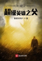 官场红尘笔记小说