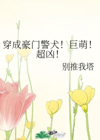 最美情侣高清免费观看视频