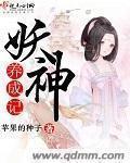 雷电将军腿法娴熟脚法图片在线观看