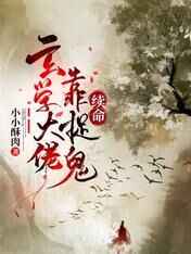 图片视频小说
