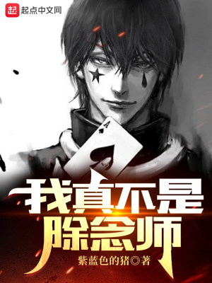 完美犯罪小说