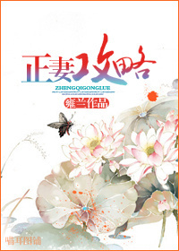 贺先生的恋恋不忘小说