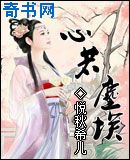 秋霞2024理论片最新
