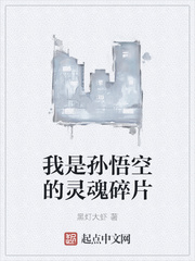 我的老婆是冰山女总裁沈浪