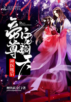 霸道总裁宠萌妻 小说