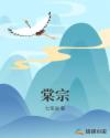风流仕途小说