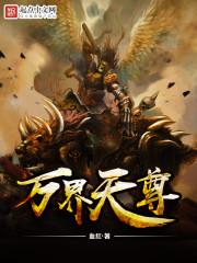 阳光软件