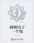 忍风战队破里剑者