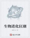 红高粱app
