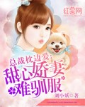 迪迪影院