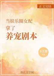 火影之人物模板系统