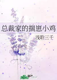 斗罗大陆动画片
