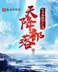 新金平瓶梅国语杨思版