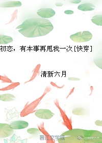 h文公交车
