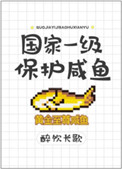 你好我的东北女友