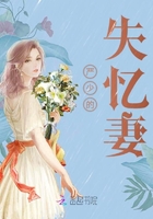 只狼影逝二度