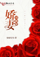 斗罗大陆之琴尘斗罗