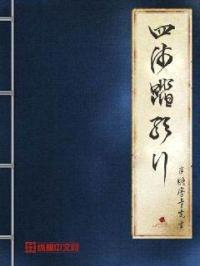 傻子苏玛丽完整版