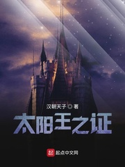 夜曲编程