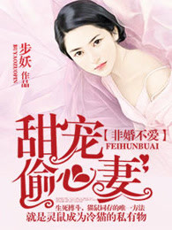 沈先生的心头宝小说