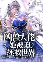 火影忍者国语版在哪看