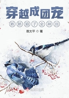 猫和老鼠2024