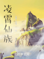 狼客人成网