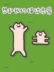 雅漫漫画平台 在线观看