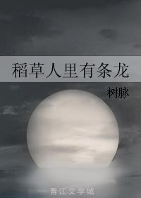 与狼共舞小说