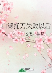 日本大但人文艺术MBA