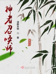 海贼王本子合集