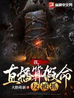 西北有高楼小说