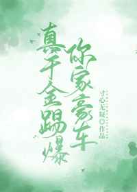 时间停止器系列在线看