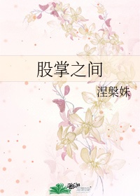 西北有高楼小说