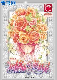 ssr式神