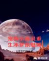 2024年最新最全的亚瑟视频