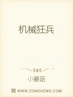 新金平瓶梅国语杨思版