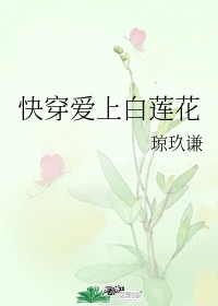 俊凯梦莹十三部等二包书网