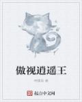 跳舞小说
