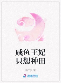 84vd永久域名