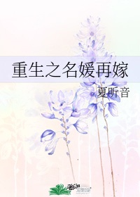 银魂永远的万事屋