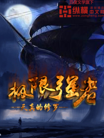 智利葡萄酒产区