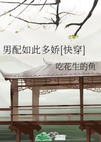 电视剧当家主母多少集