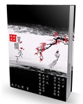 十七岁日本电影免费完整版