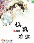 玩偶姐森林篇